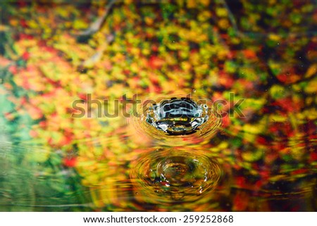 colorful autumn of water reflection and water drop for background