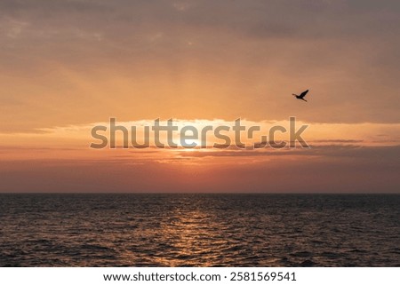 Similar – Image, Stock Photo When dawn breaks, a light comes on
