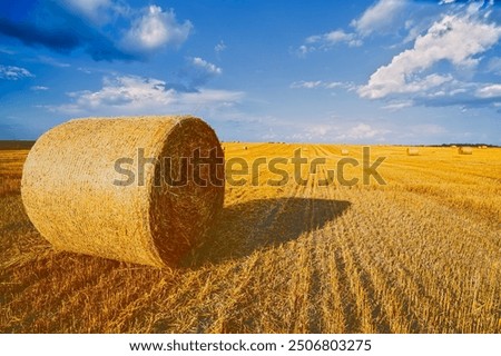 Similar – Image, Stock Photo Straw, golden against blue background