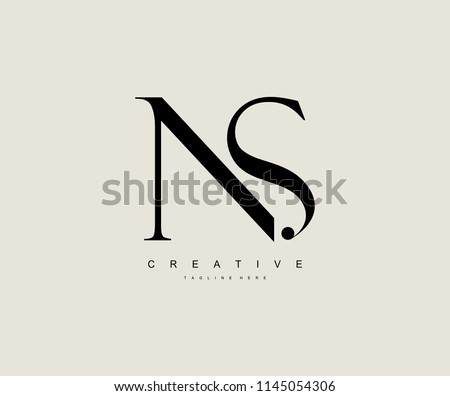 Creative Minimal Abstract Letter NS Luxury Premium Logo