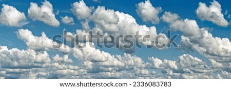 Similar – Image, Stock Photo Fair weather clouds above the treetops of a group of trees