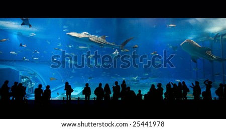 Okinawa, Japan - February 14: Sea life park with biggest aquarium window of the world on February 14, 2009