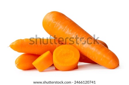 Similar – Image, Stock Photo closeup of beautiful orange dahlia blooming with fly sitting on it