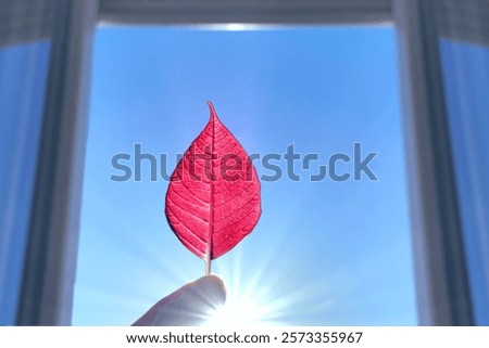 Similar – Image, Stock Photo Rays of hope (2)