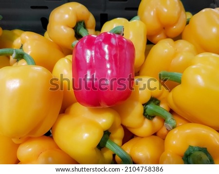Red color capsicum stays on top of others yellow color capsicum. Lifestyle motivation concept photography. Stok fotoğraf © 