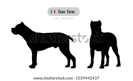 Dog breed Cane Corso. Italian Mastiff. Side and front view silhouettes isolated on white background.