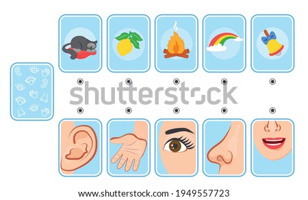 Game for kids. Cards. Five senses. Sight, touch, hearing, smell and taste. Preschool worksheet activity. Match of sense organs and objects Сток-фото © 