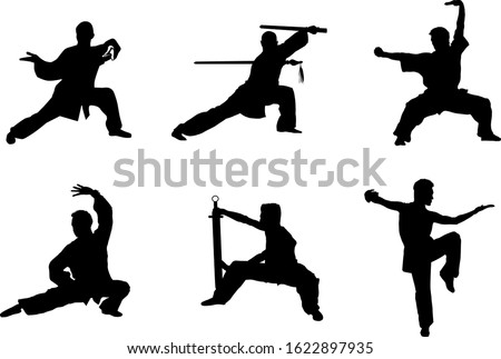 Wushu, kung fu, Taekwondo, Aikido. Silhouette of people isolated on white background. Sports positions. Design elements and icons. Fighting stance. Vector illustration. Stock foto © 