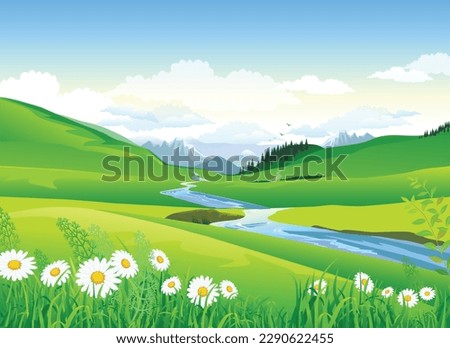 Spring summer landscape of mountains and river valleys. Wild flowers chamomile background postcard. Vector illustration