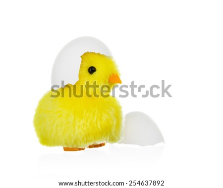 Toy chicken with egg shell on head