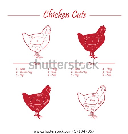 Chicken Cuts - Red On White Stock Vector Illustration 171347357 ...