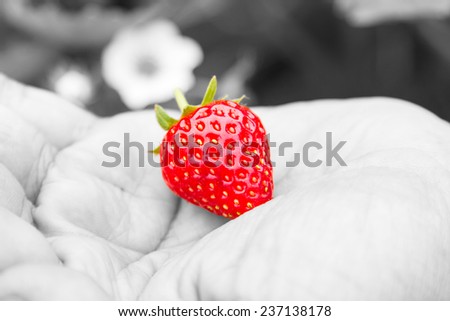 Strawberry with red lay your hands on, but black and white and color performance.