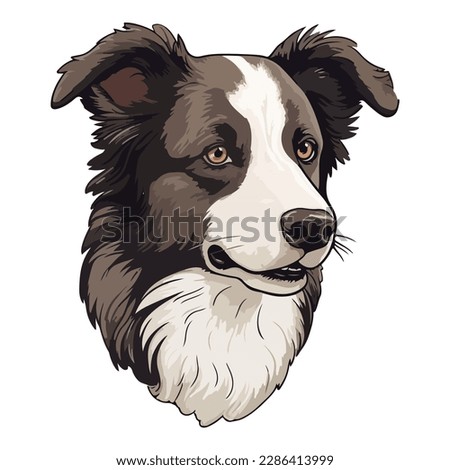 Border Collie Dog Flat Icon Isolated On White Background