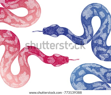 red and blue snake hand drawing