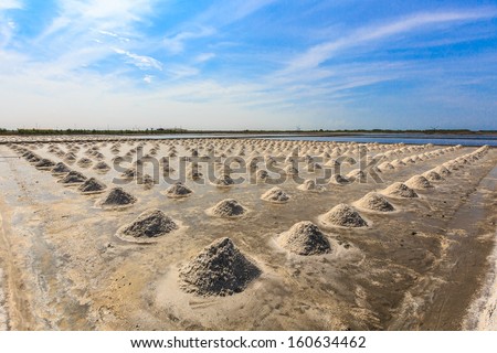 Piles of salt on the surface of the Thailand