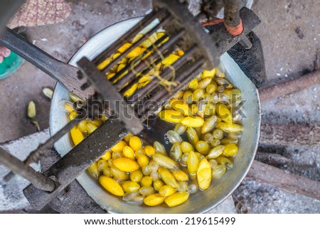 Boiling cocoon in a pot to prepare a silk. (manual prepare silk process)