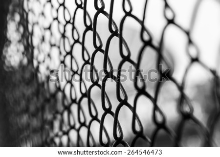 iron wire fence DOF