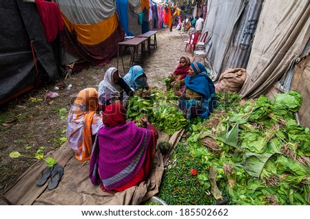 KOLKATA , INDIA - JANUARY 12, 2014 : Rural Indian women cutting vegetables at Babughat transit camp. Every year devotees from all over India visits Gangasagar and stays at Babughat in transit.