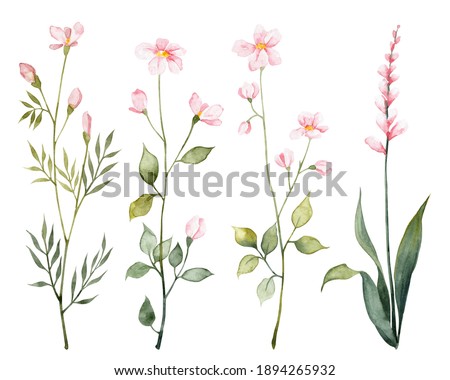Detailed realistic botanical clip art. Watercolor cute flowers. Different pink blossom with green leaves. Objects isolated on white background. Botanical illustration. 
