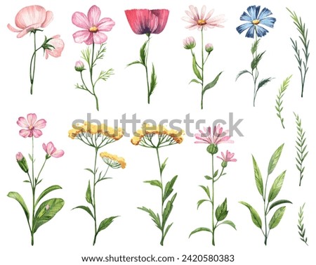 Similar – Image, Stock Photo Flowering field with tansy and various flowering plants as an insect paradise, in the background an old building and trees