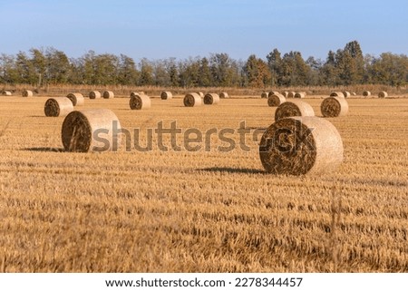 Similar – Image, Stock Photo Late summer rolls Field
