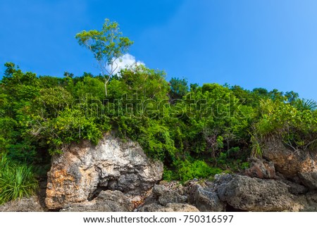 Similar – Image, Stock Photo Tourist against solitary rock in middle of green forested plain under clear sky in summer