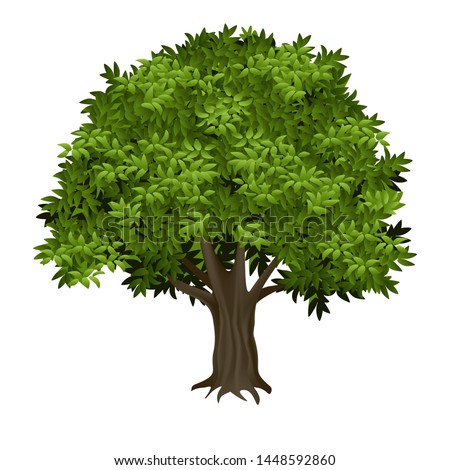 Vector illustration 3D tree realistic image isolated trunk with thick wrinkled bark and green leaves oak, elm or poplar