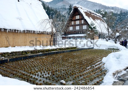 Historical Japanese Villages , Shirakawa-go , japan