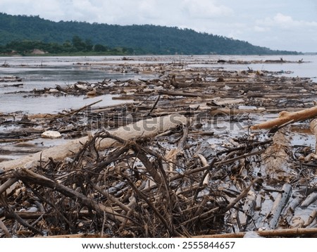 Similar – Image, Stock Photo Plastic waste in branches of a bare tree in front of a glass facade