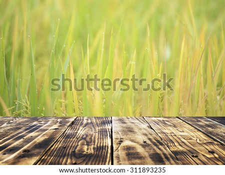 Wooden board empty table in front of blurred background. Perspective wood over blur green - can be used for display or montage your products. copy space