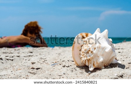 Similar – Image, Stock Photo big ocean shell on the sand against the background of a redhead girl sunbathing on the beach