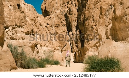 Similar – Image, Stock Photo bedouin in white goes in the canyon in the desert in Egypt