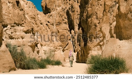 Similar – Image, Stock Photo bedouin in white goes in the canyon in the desert in Egypt