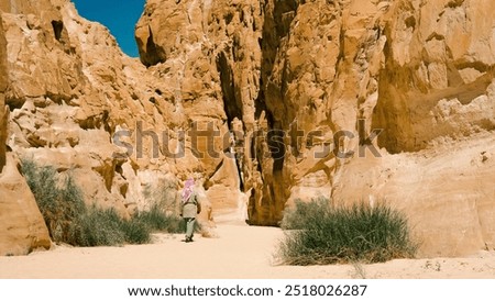 Similar – Image, Stock Photo bedouin in white goes in the canyon in the desert in Egypt