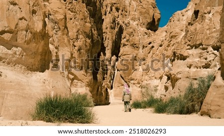 Similar – Image, Stock Photo bedouin in white goes in the canyon in the desert in Egypt