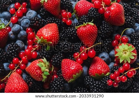 Similar – Foto Bild Rote reife Beeren im Dezember an einem Strauch