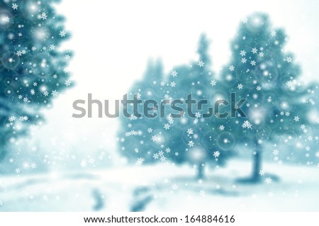 Snowfall in evergreen forest, winter background