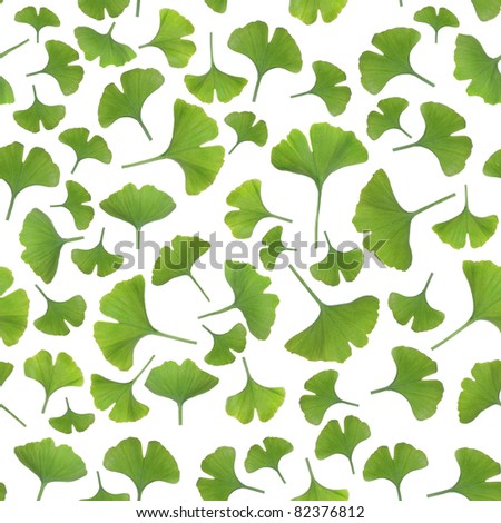 Young gingko leaves isolated on white background, seamless pattern