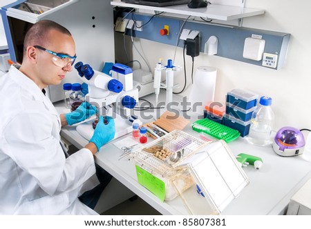 Young scientist  in while lab coat works in the laboratory