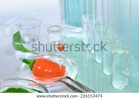 Testing red peppers for contamination with pesticides in laboratory