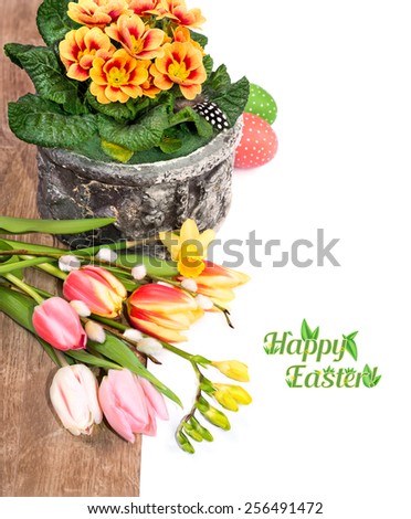 Easter border with primrose, spring flowers and painted eggs on wood and white background, space for your text