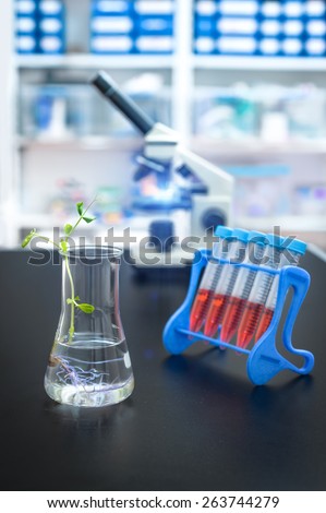 Experimental plant in a flask with research facility out of focus, focus on the plant