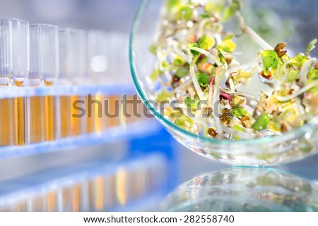 Quality control of bean sprouts for signs of bacterial or chemical contamination