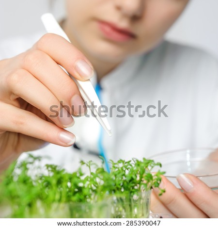 Health and safety blurred background. Young female scientist selects new breed of cress sprouts for tests, space for your text