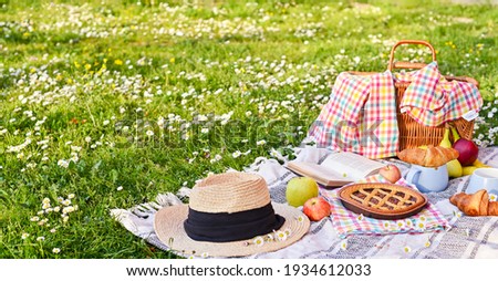 Picnic basket on the green grass in the park. Delicious food for lunch outdoors. Sweet pastries, drinks and fruits. Nice day in summer. High quality photo. Copy space Foto stock © 