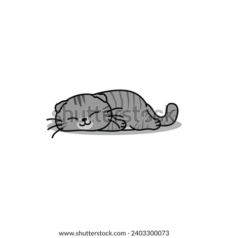 Lazy scottish fold cat sleeping cartoon, vector illustration, I drew it by myself, It's not AI-generated content.