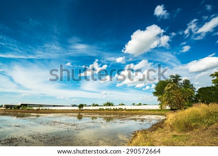 Agriculture land prepare for cultivate and blue sky background
