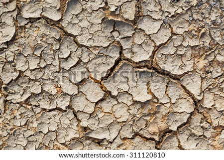 Cracked soil for background and texture material