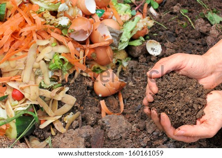 Compost with composted earth Stock foto © 
