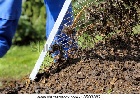 Sieving the composted earth